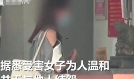 郑州女房东最新爆料新闻,揭露惊人内幕，引发社会关注